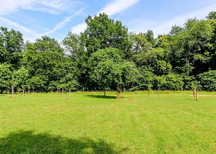 Maison Avec Piscine Partagee Proche De - Fr-1-616-528 Nyaraló Périgueux