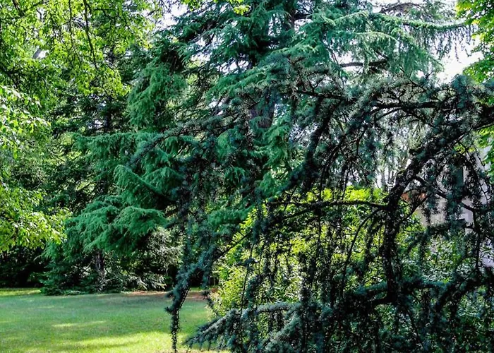 Maison Avec Piscine Partagee Proche De - Fr-1-616-528 Périgueux