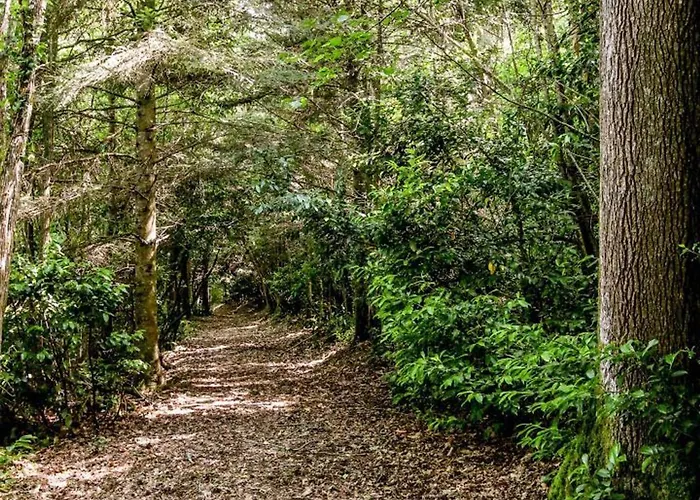 Maison Avec Piscine Partagee Proche De - Fr-1-616-528 Périgueux