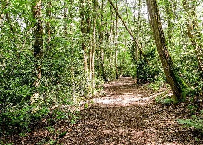 Nyaraló Maison Avec Piscine Partagee Proche De - Fr-1-616-528 *