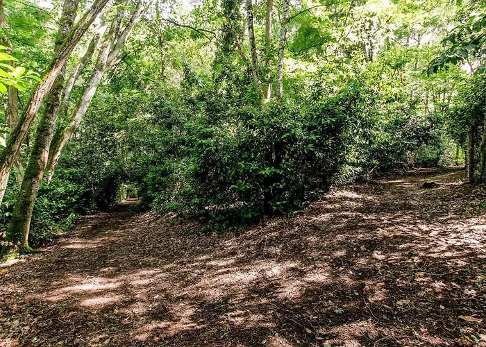 Maison Avec Piscine Partagee Proche De - Fr-1-616-528 * Périgueux